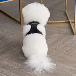Bling Velour Kjæledyrsele Og Båndsett